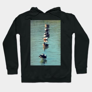 Ducks in a row Hoodie